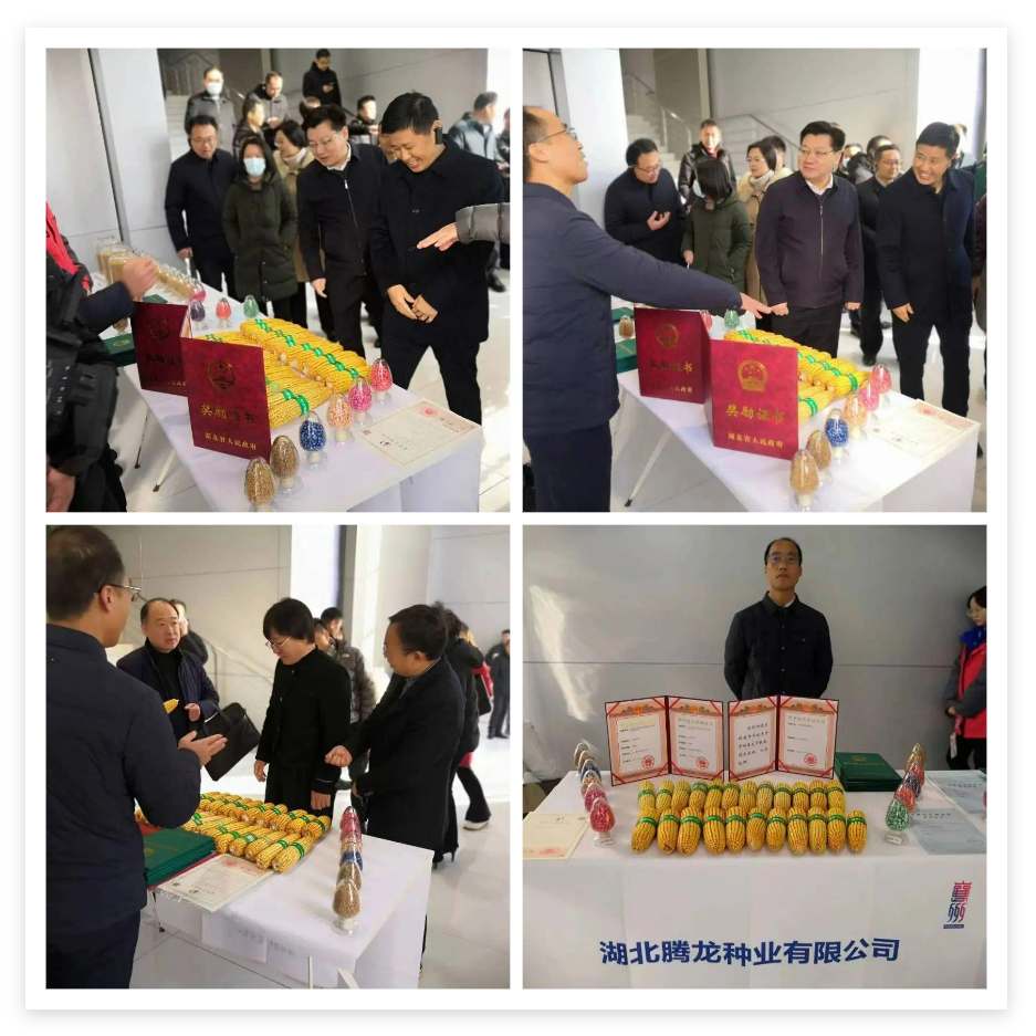 微信图片_20240429100845 微信图片_20240429100845