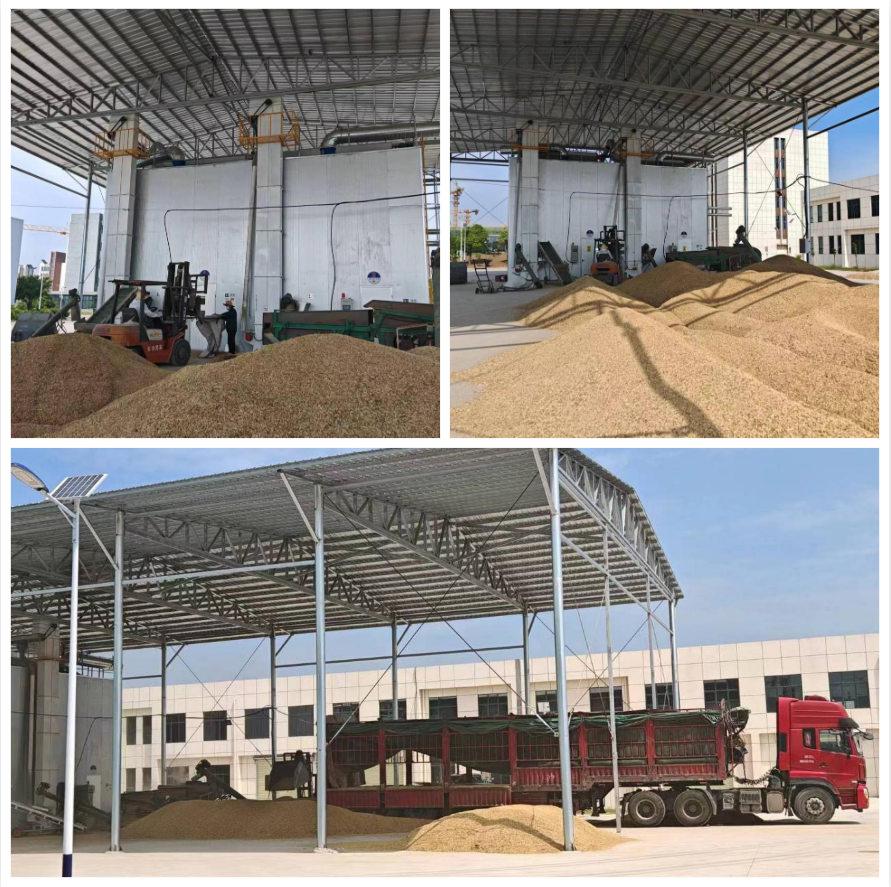 1716868230205 1716868230205