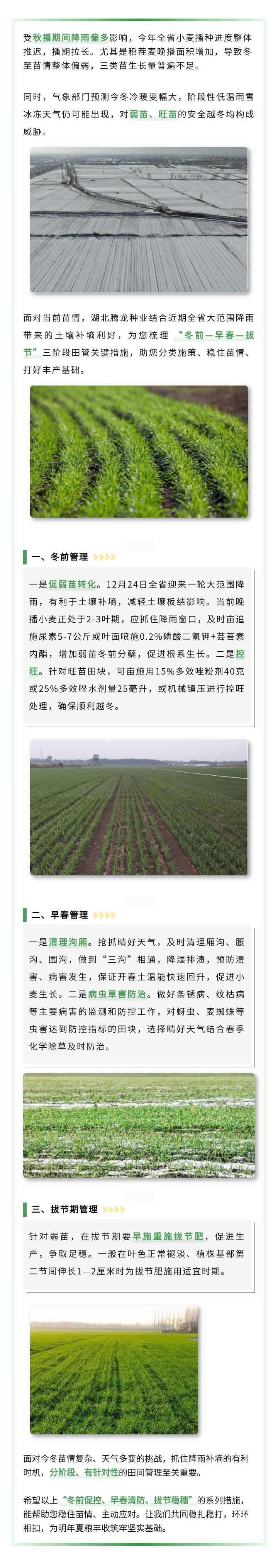 135editor_01041004_6959caacbc9fe20260104100428